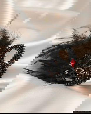 Rezervat Broșă Lebăda Neagră  Mister Regal