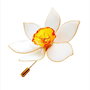 BROȘĂ NARCISĂ