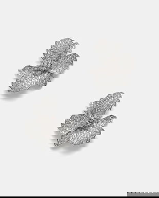 Aldo cercei DAISYDRIP