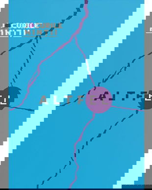 Altfel. 31 de exercitii si intrebari care te invita la conectare cu latura ta masculina - Vlad Guluta
