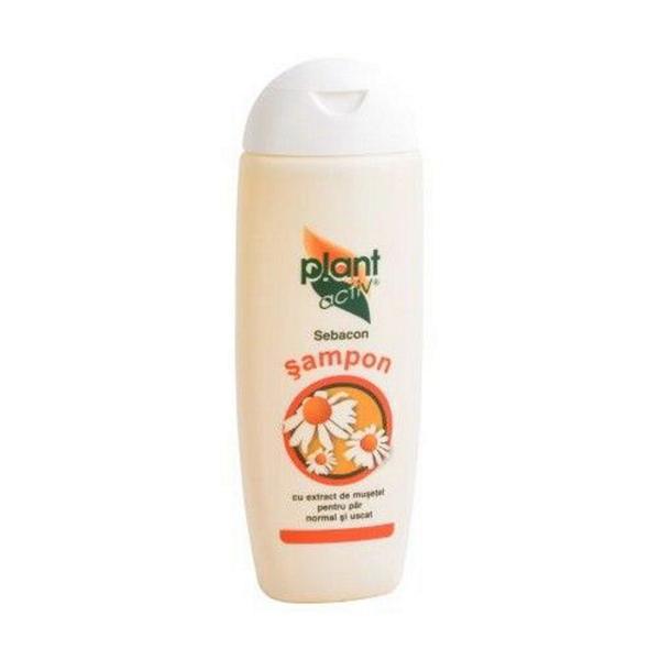 SHORT LIFE - Sampon Sebacon Par Normal si Uscat Plant Activ, 200 ml
