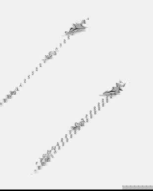 ZADIG&VOLTAIRE cercei