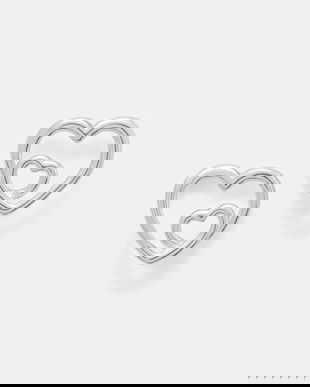 Tous cercei de argint