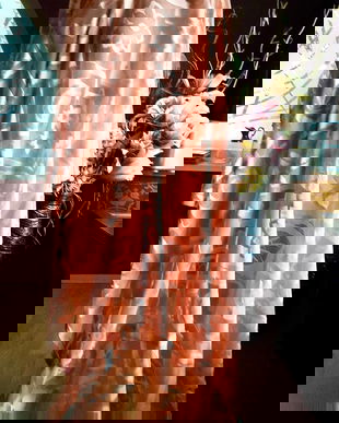 2 PERDELE CULOARE DEOSEBITA ANGLIA