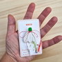 Martisor ghiocel fimo
