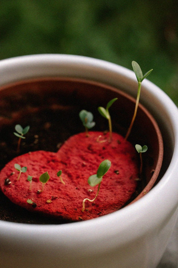 Mărțișor plantabil - inimă mică 3D din hârtie manuală cu semințe de flori