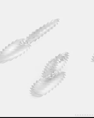 Tous cercei de argint