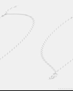 Tous colier de argint