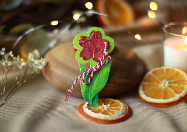 Martisor eco plantabil floare - Floare
