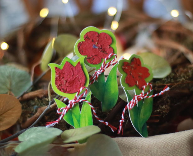 Martisor eco plantabil floare - Floricica