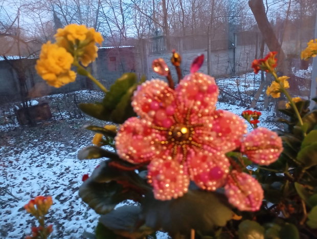 Floare de măr.Brosa mărțișor