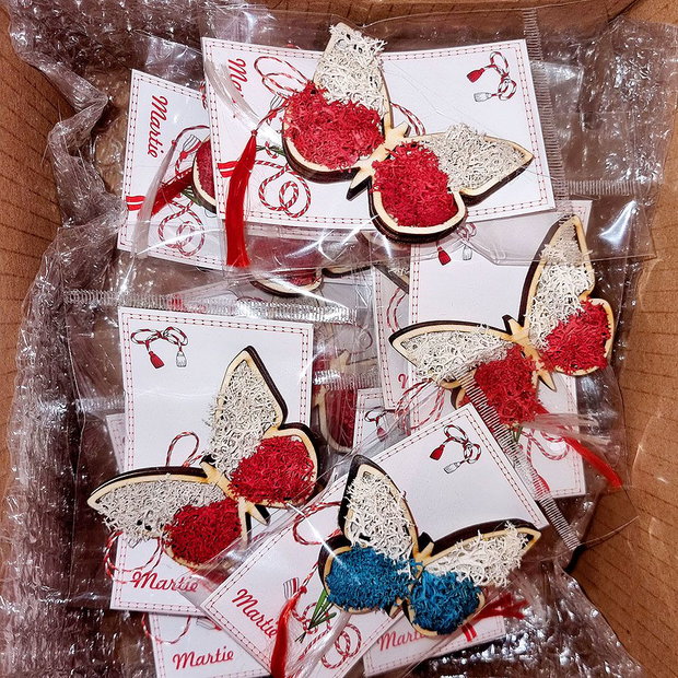 Martisor Brosa cu Licheni - Fluture