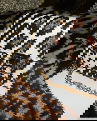 Set  nou , elegant , animal print , poseta , esarfa , manusi