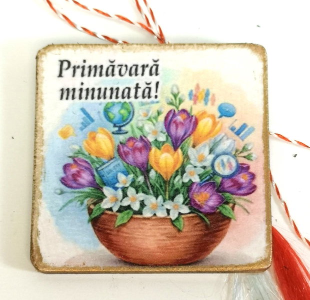 Martisor personalizat profesoara sociologie, educatie sociologica