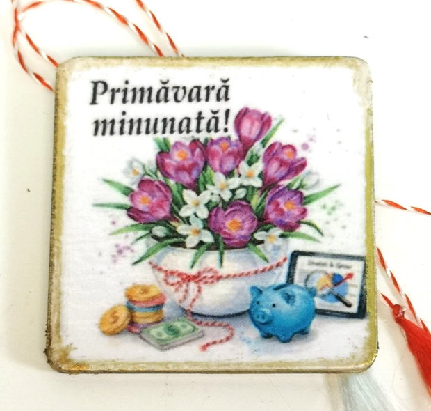 Martisor personalizat profesoara educatie financiara, economist