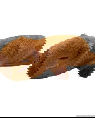 Capibara de pluș 50 cm, maro