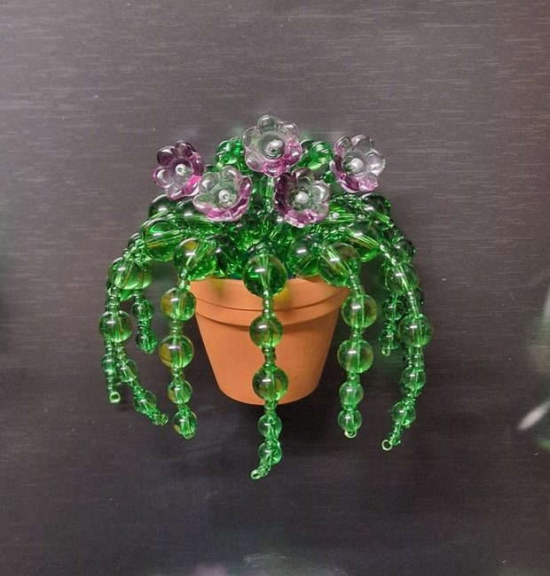 Beaded plant mov
