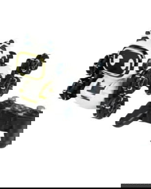 C&acirc;ine Robot Inteligent cu Telecomanda