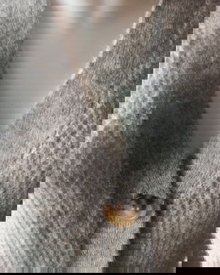 cardigan lung , lana si angora , MSCH , S