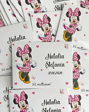 Plicuri Minnie mouse pentru mărturii magneți