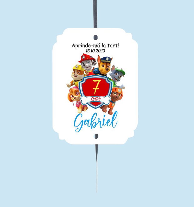 Etichete artificii Paw Patrol