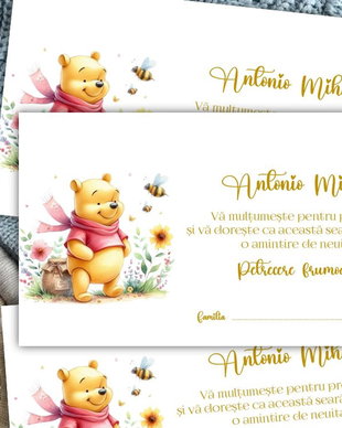 Plicuri bani botez Winnie the pooh și albinuță