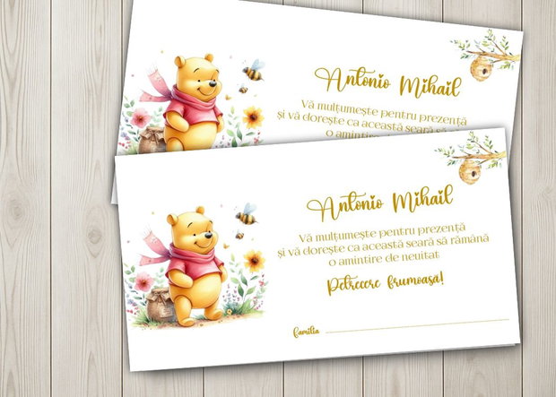 Plicuri bani botez Winnie the pooh și albinuță