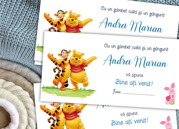 Plicuri bani botez Winnie the Pooh și tigrișorul