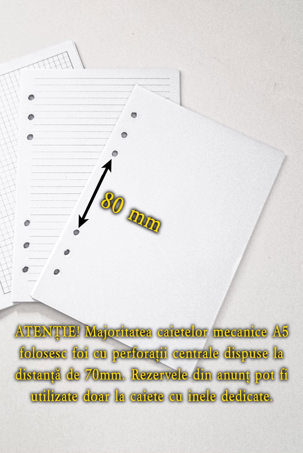 FOI PERFORATE A5 - Set 20 Rezerve Caiete Mecanice Ethnoloop/Leitz
