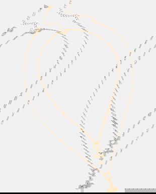 Aldo colier RAVENE 2-pack