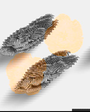 Aldo cercei FLEURISH