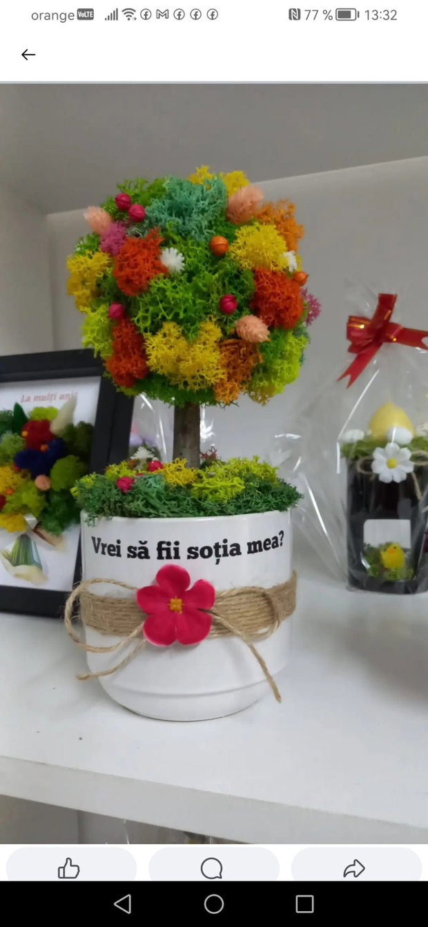 Aranjament tip copac cu licheni stabilizați Cerere în căsătorie personalizată