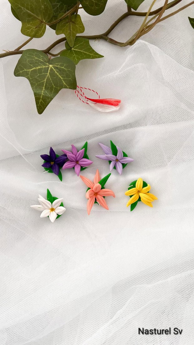 Martisor: Zambile