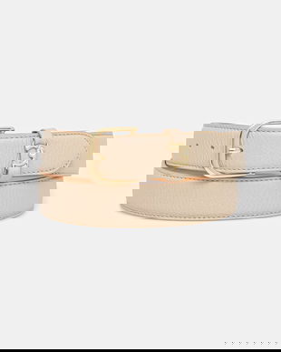 Coccinelle curea de piele