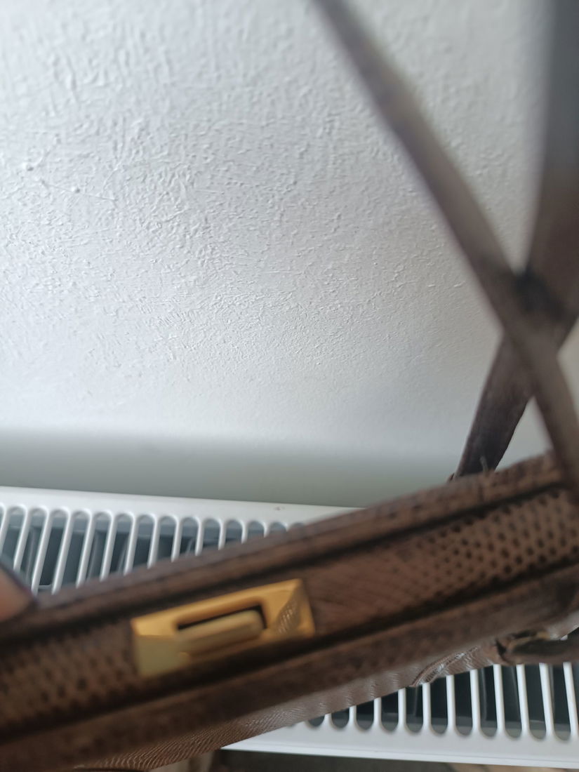 Geanta din piele de soparla