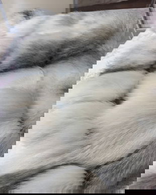 Haină blană luxoasă, model clasic, impecabilă