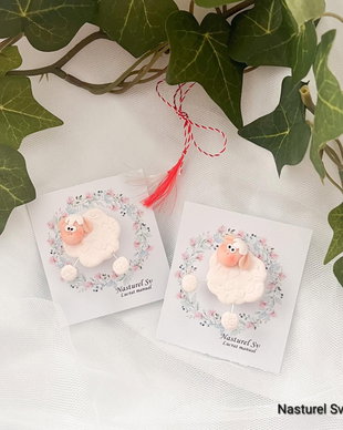 Brosa martisor: Oita