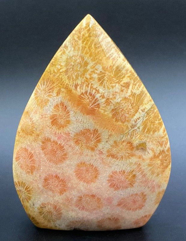 Coral Fosilizat - Sculptura piatra semipretioasa