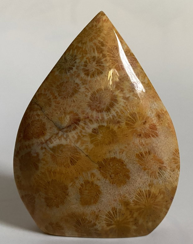 Coral Fosilizat - Sculptura piatra semipretioasa