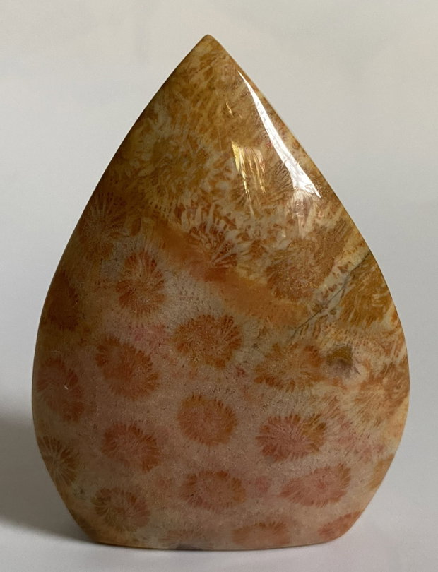 Coral Fosilizat - Sculptura piatra semipretioasa
