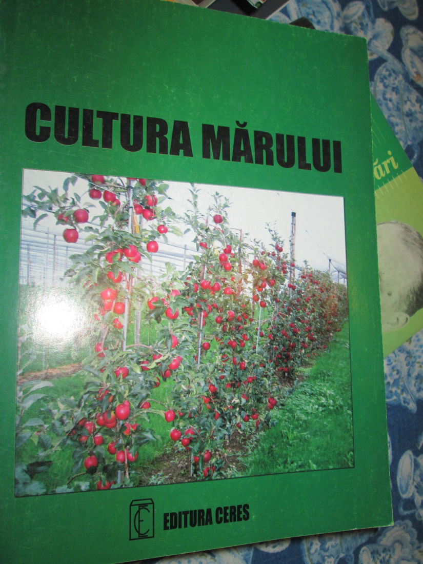 2004 Cultura marului