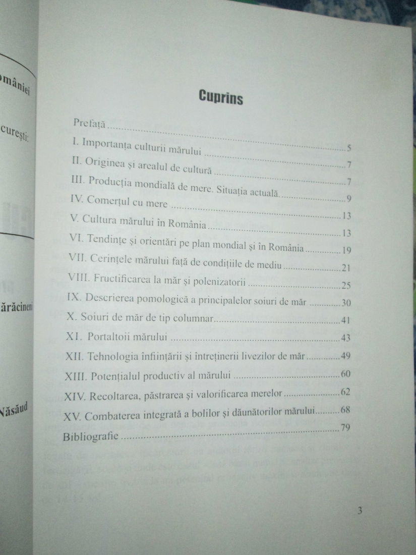 2004 Cultura marului