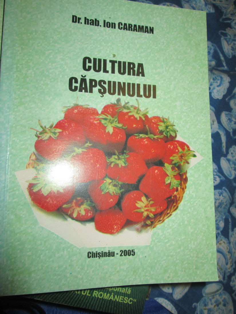 2005 Cultura capsunului