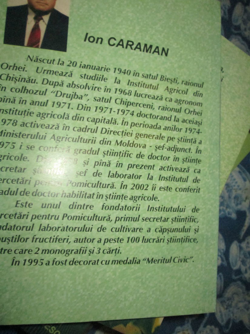 2005 Cultura capsunului