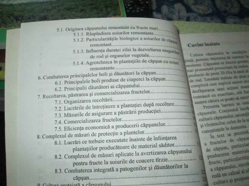 2005 Cultura capsunului