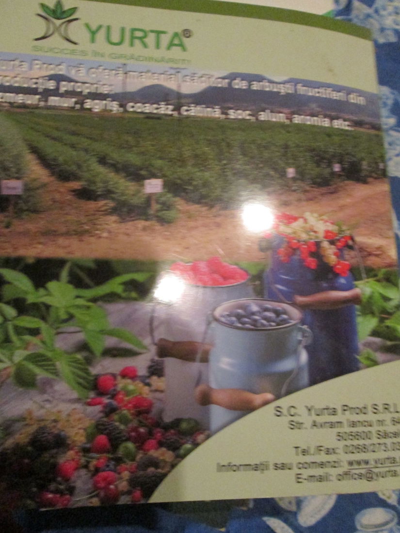 2014 Arbustii fructiferi