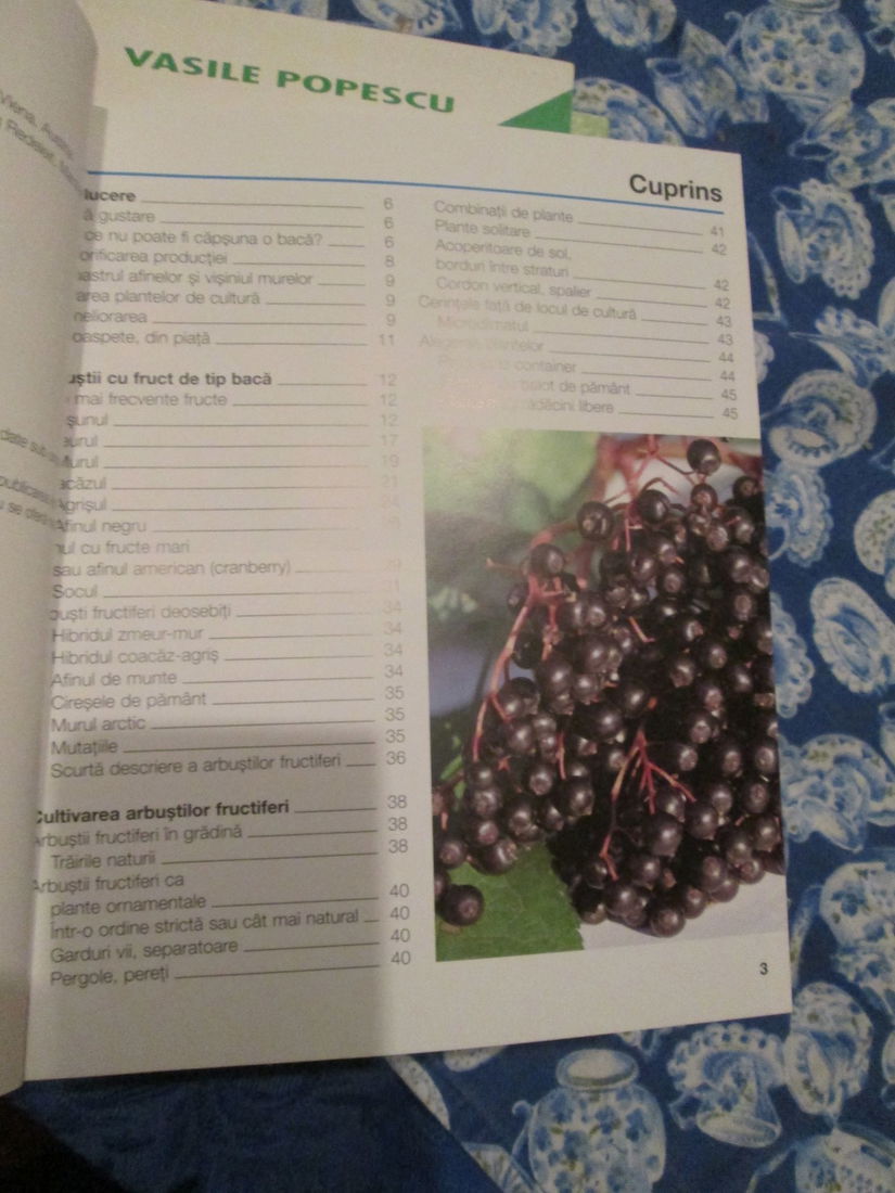 2014 Arbustii fructiferi