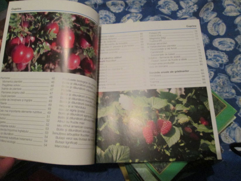 2014 Arbustii fructiferi