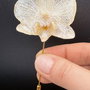 Broșă Artistică cu Floare de Orhidee Naturală Alba  Rășină UV