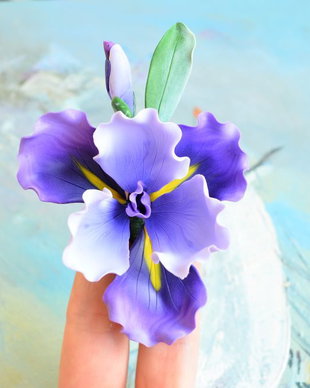 Iris mov - Brosa mare